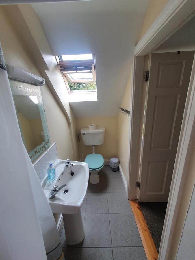 The Grapevine Hostel Dingle